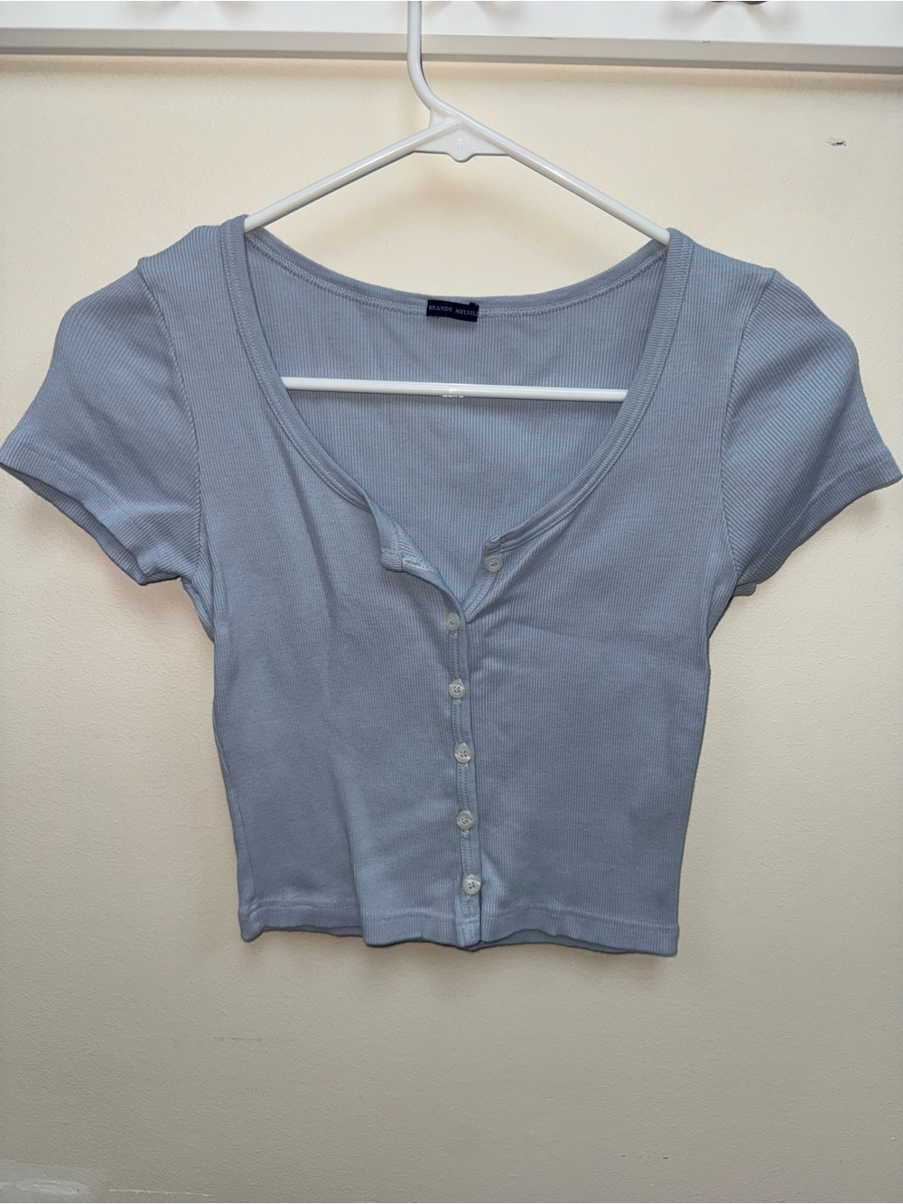 Brandy Melville Blue Ribbed Top